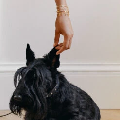 Bracelet Souple CANDY -Bijouxe Legant Magasin 02480341 256 TU M2