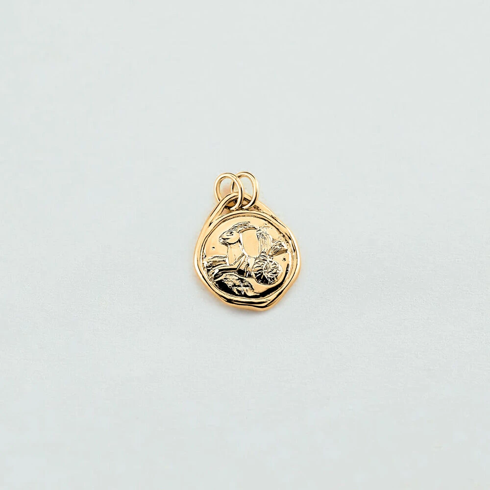 Pendentif CAPRICORNE ZODIAQUE 3 Pendentif CAPRICORNE ZODIAQUE