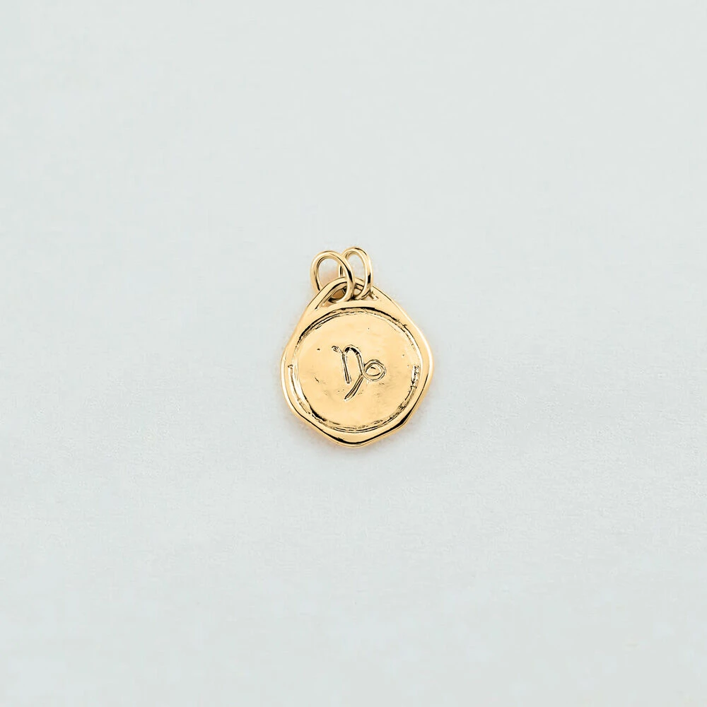 Pendentif CAPRICORNE ZODIAQUE 4 Pendentif CAPRICORNE ZODIAQUE – Image 2